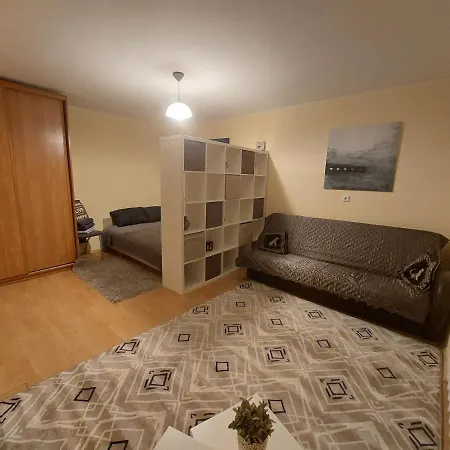 1 Kambario Butas Druskininku Centre Apartment Druskininkai