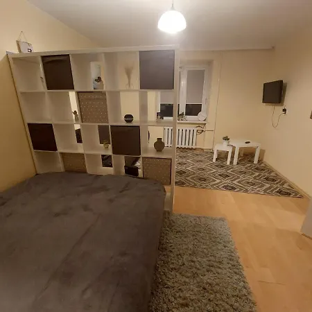 1 Kambario Butas Druskininku Centre Druskininkai